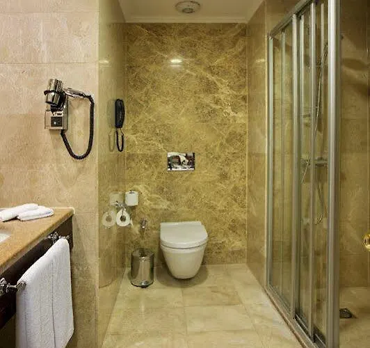 Hotel Crowne Plaza - Old By Ihg